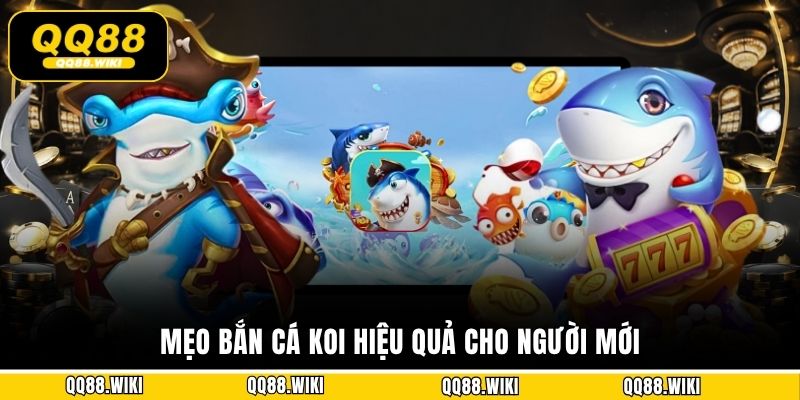 Mẹo bắn cá Koi hiệu quả cho người mới