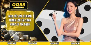 Mẹo Bắt Cầu Xí Ngầu Thắng Lớn Tại Sảnh Cược Uy Tín QQ88
